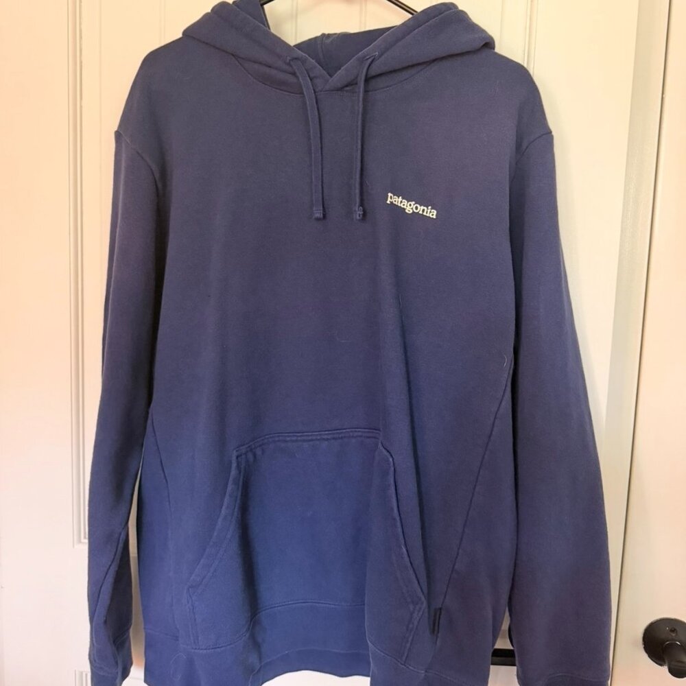 Patagonia Blue Hoodie